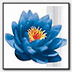 geberit blue